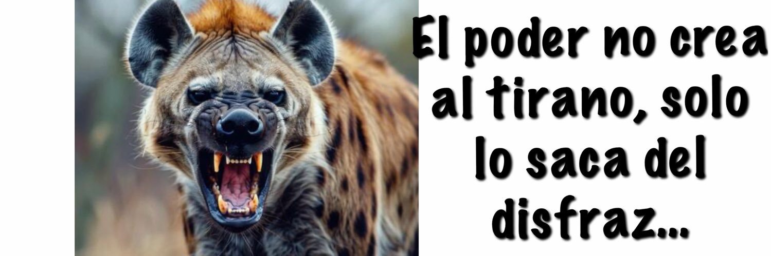 Marcela Pagano banner