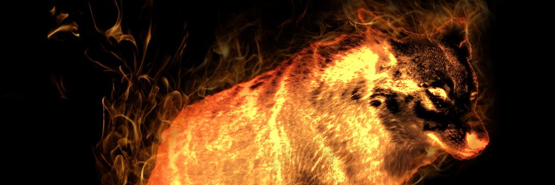 neverember5's profile banner image
