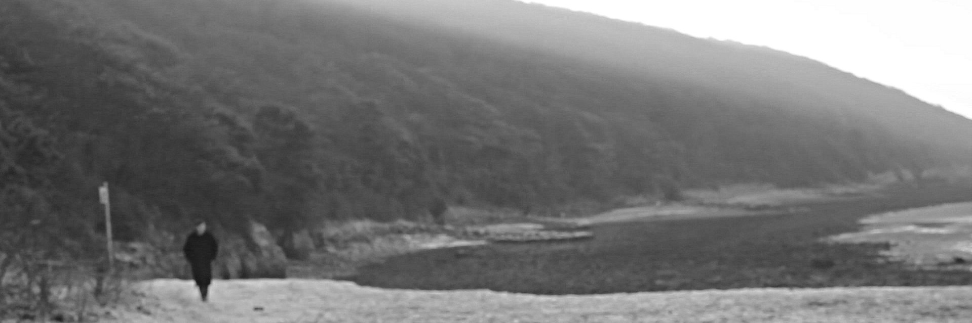 Zieges's profile banner image