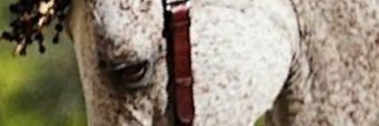 RPiles's profile banner image