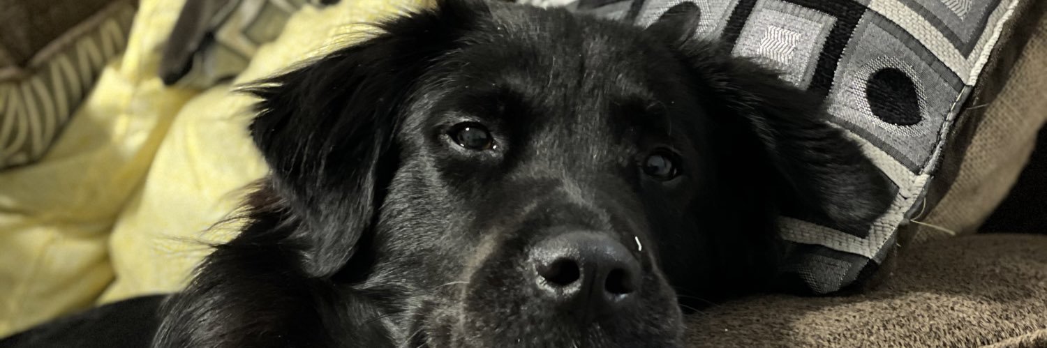 Mflaig13's profile banner image