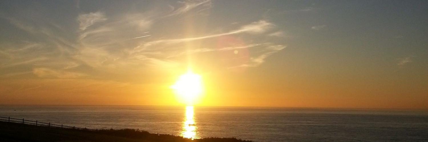 Paz Fdez. de Vera banner