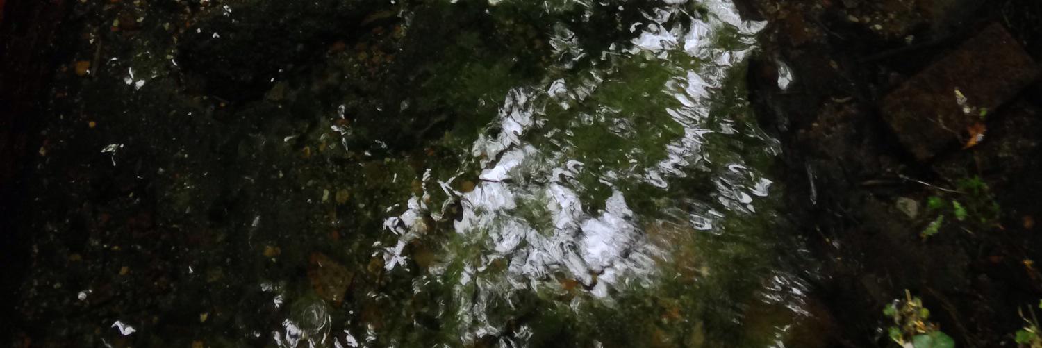 KeatsianOrphan's profile banner image