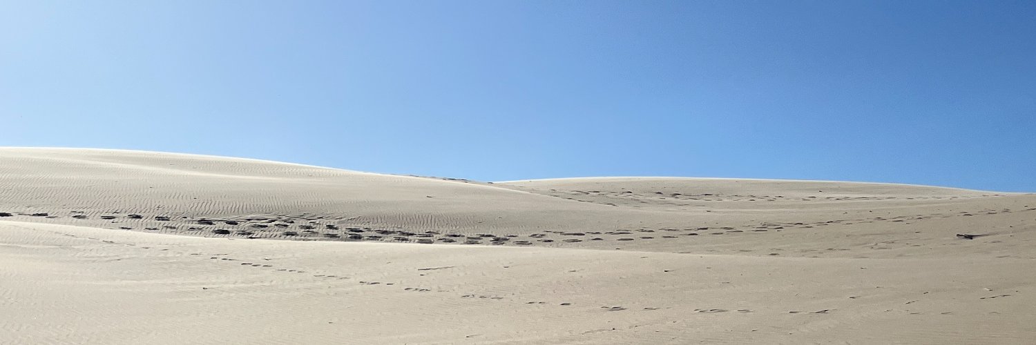 PavanatoRanieri's profile banner image