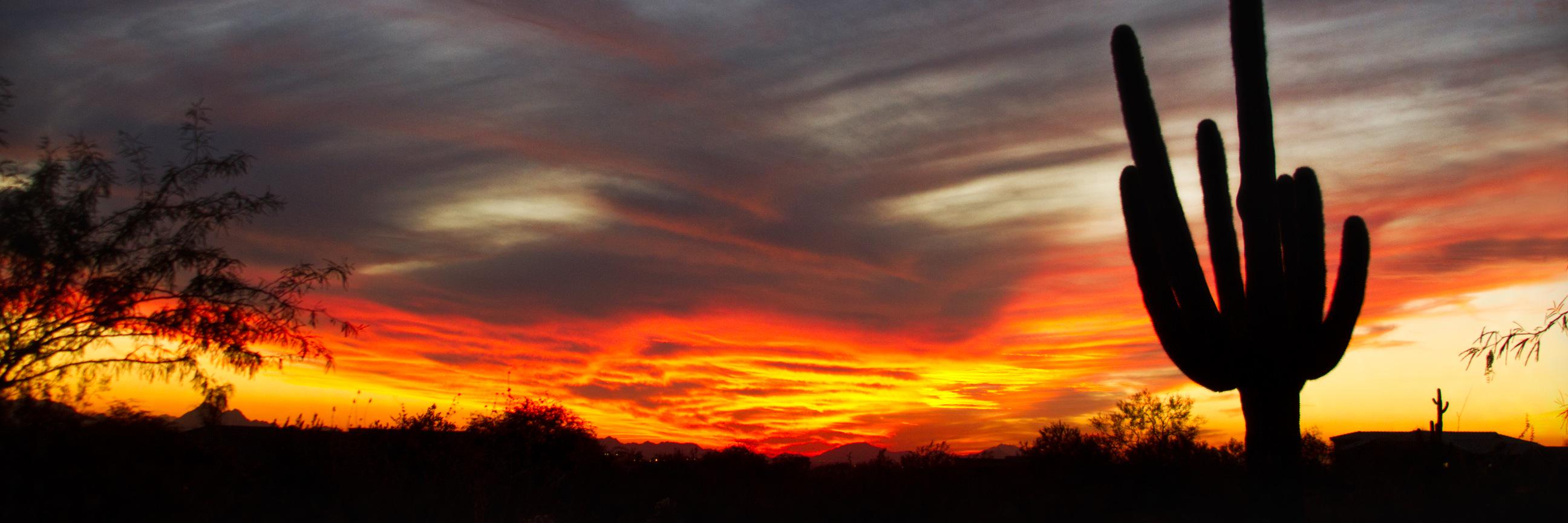 Michelle Ruha banner