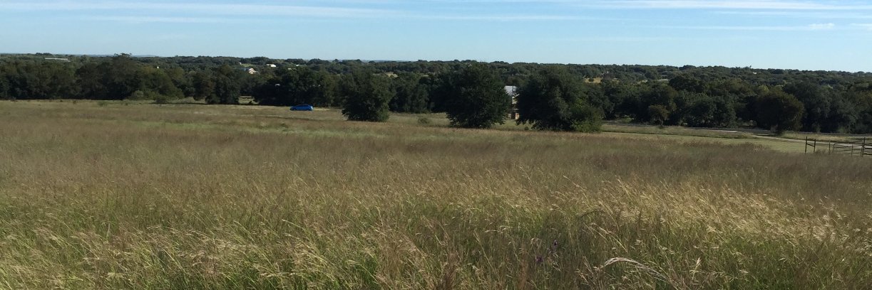 texasDNP's profile banner image