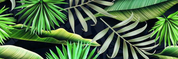 Ty Dolla $tore banner