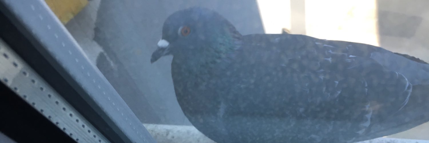 FGPo's profile banner image
