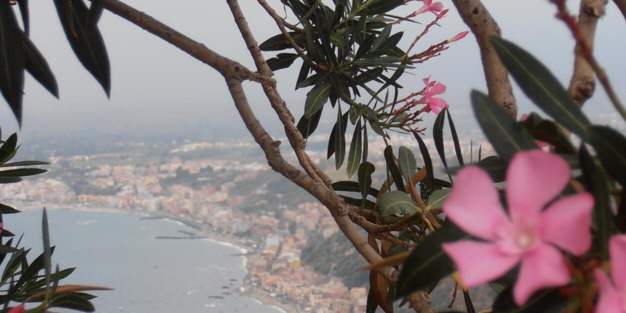MetteSAndersen's profile banner image