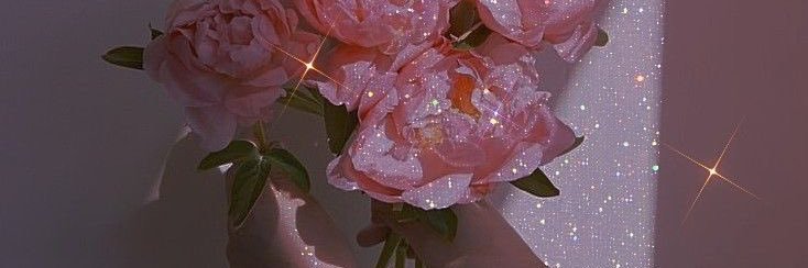 Bushra_mon's profile banner image