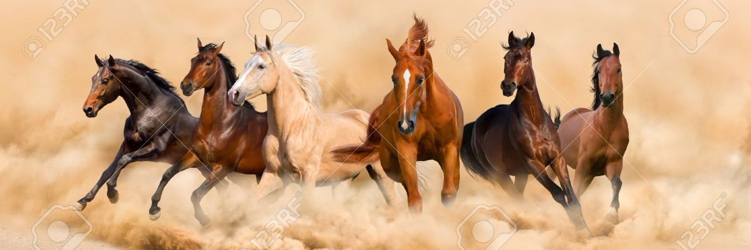 Minute_Aspect's profile banner image