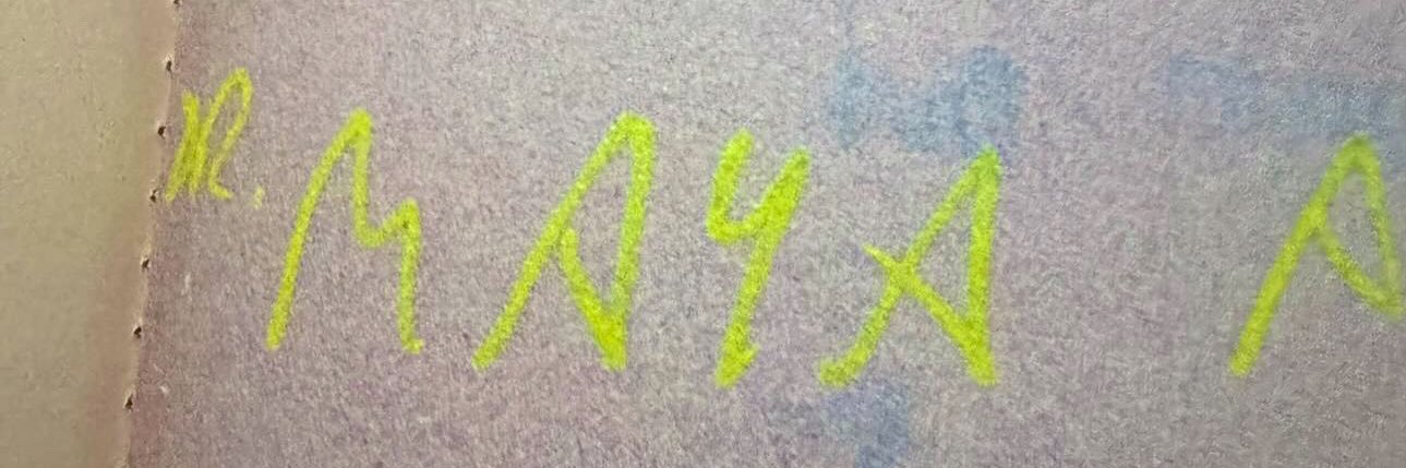 Maya Sabin's banner