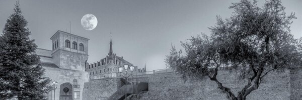 leonenredcom Profile Banner