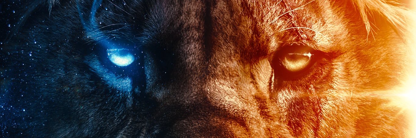 Mattou_CM's profile banner image
