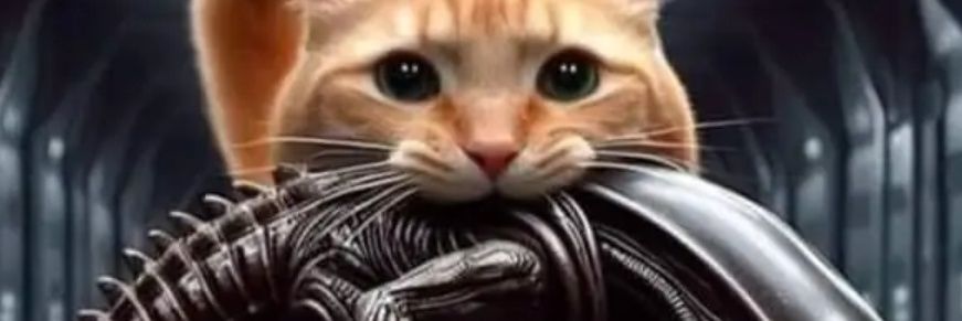 tito_out's profile banner image