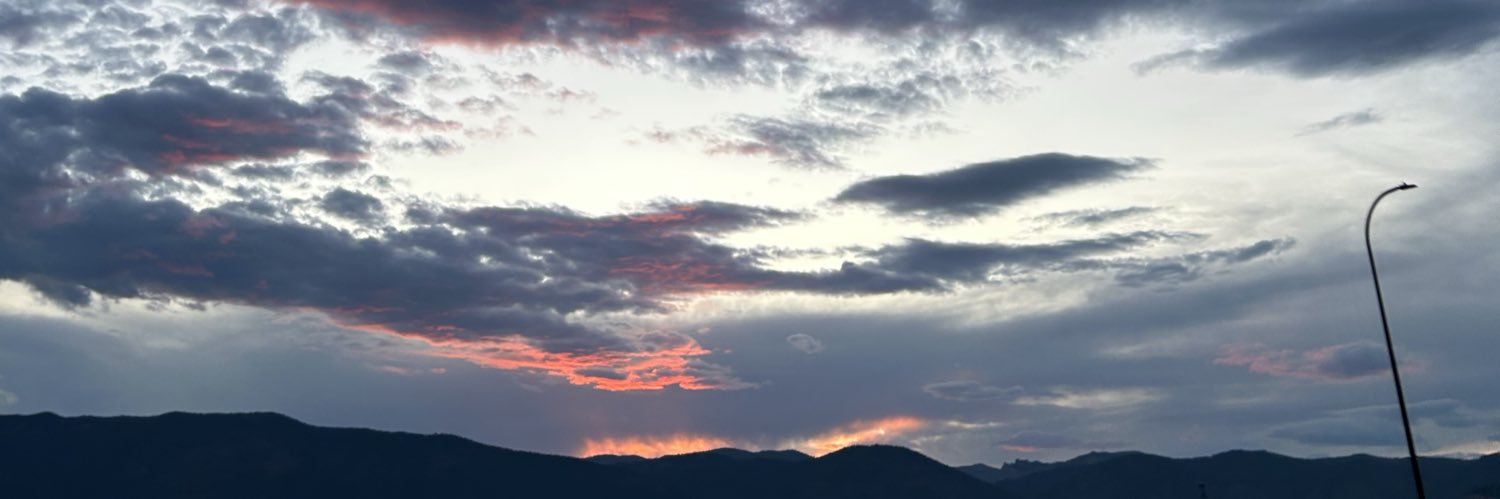 t_steig's profile banner image