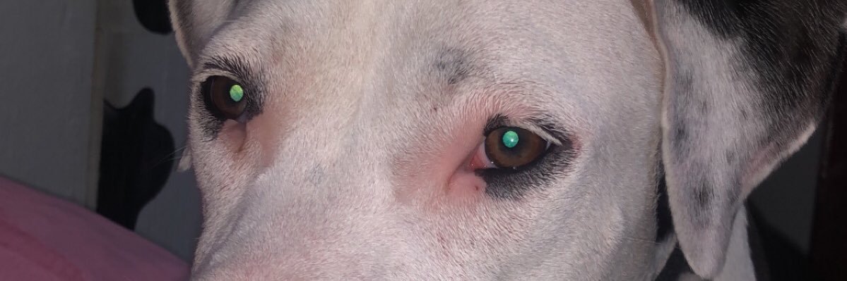 roci_ceron's profile banner image