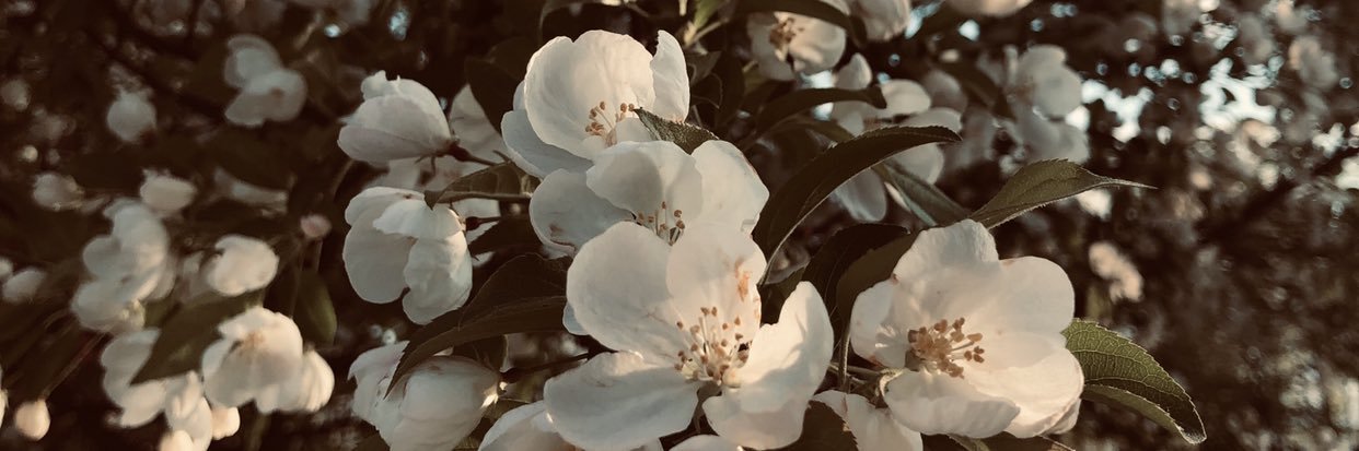 moofinnxo's profile banner image