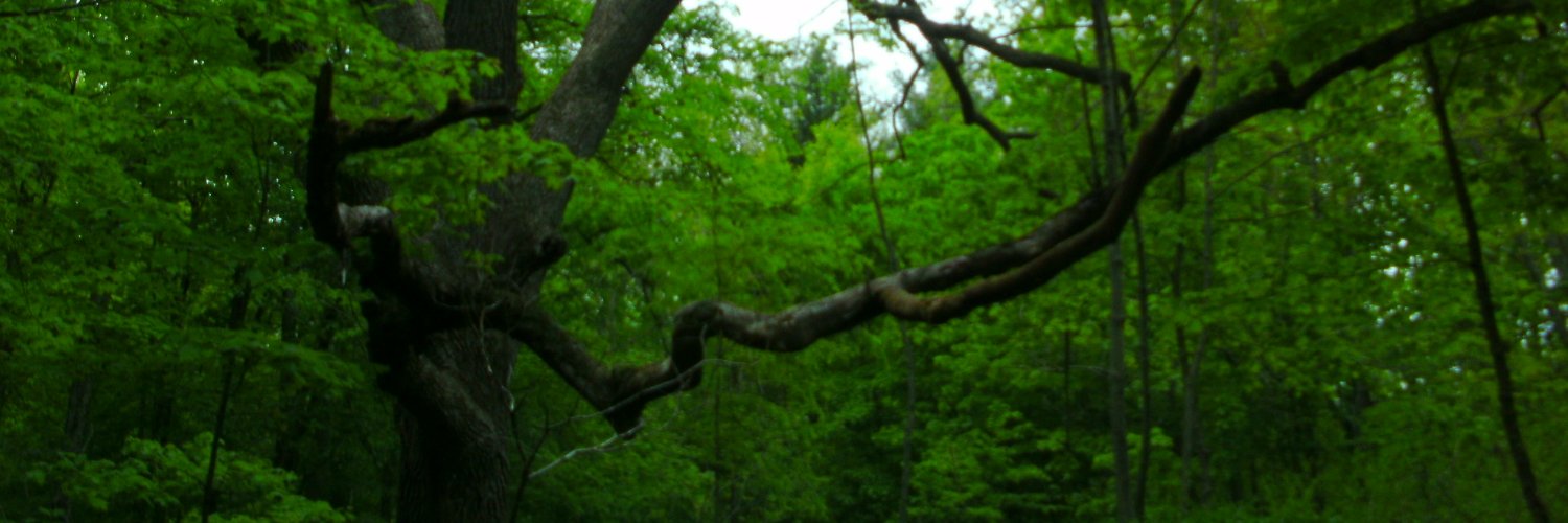 Miss Kris. Most days. Whether I like it or not. banner