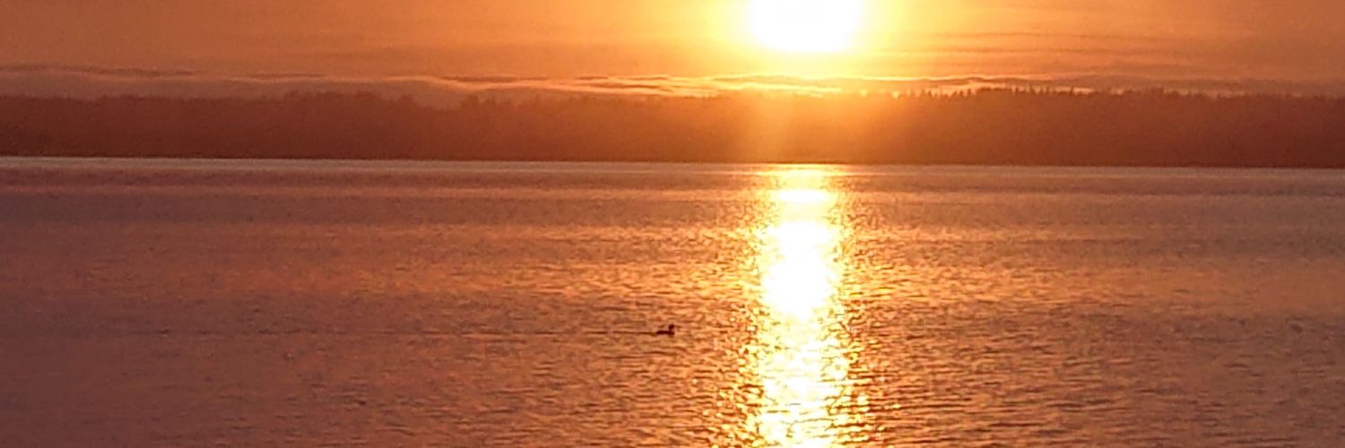PiispaJuha's profile banner image