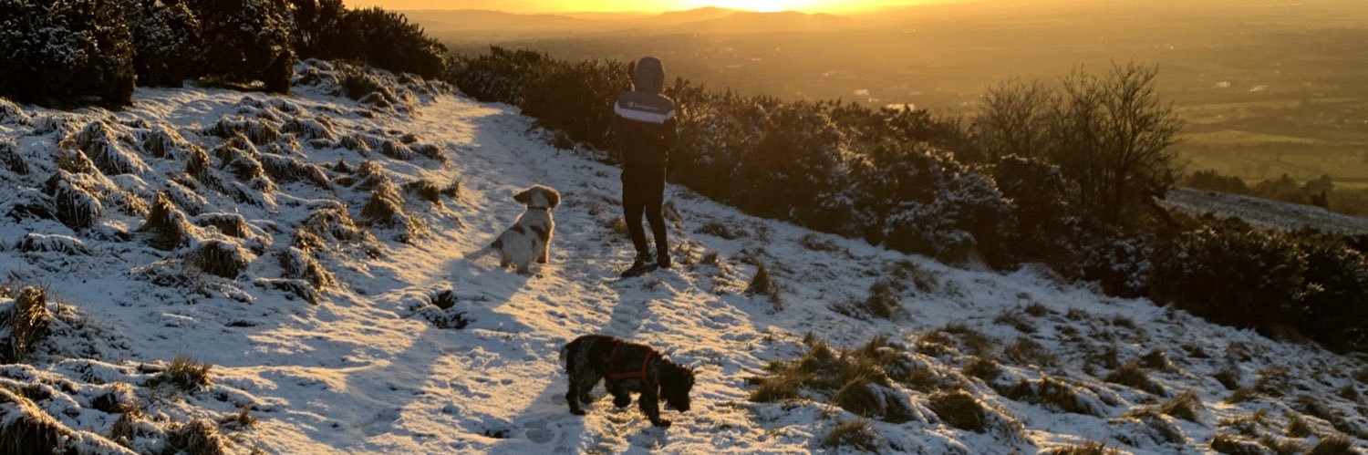 Deborah Elliott banner