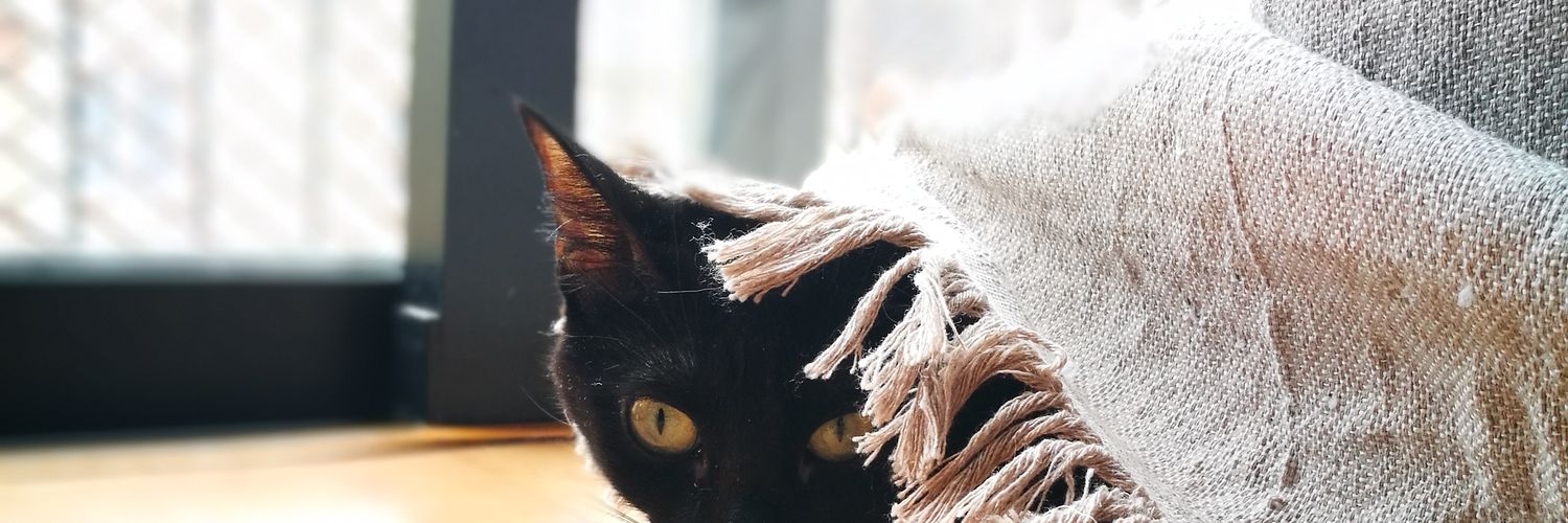 auhsto's profile banner image