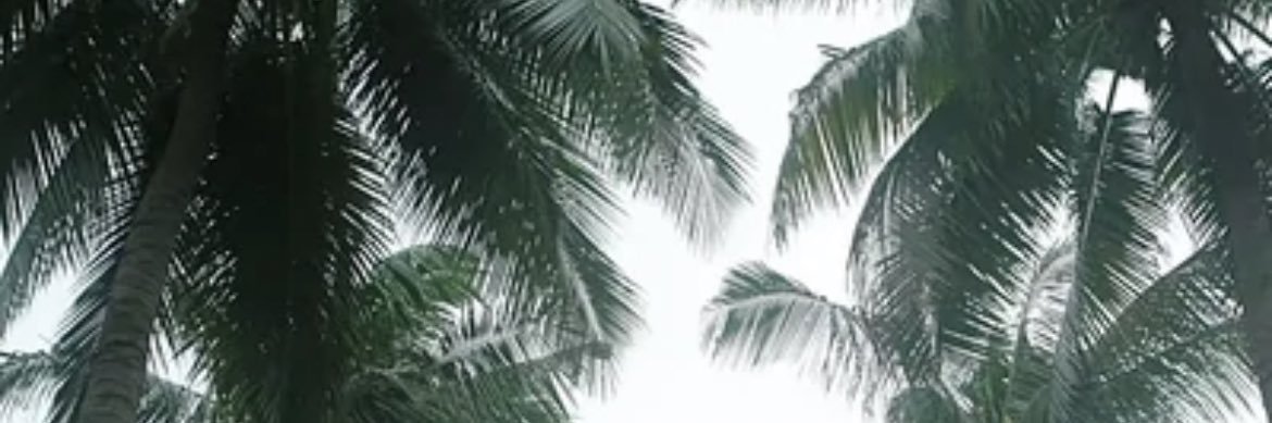 PaytonKelly1's profile banner image