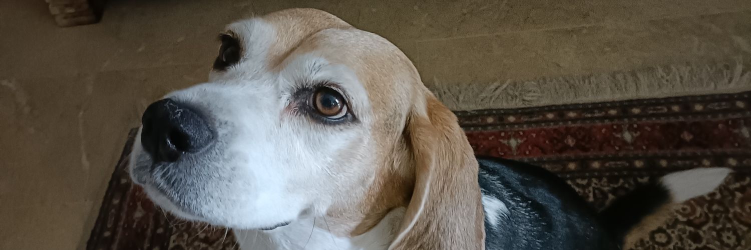 A las 23:59 cierra 😂 banner