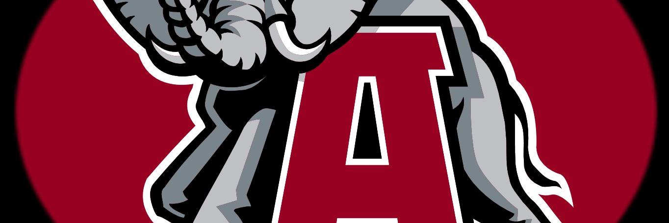 moose6747's profile banner image