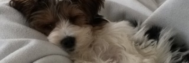 Mcschmittty's profile banner image