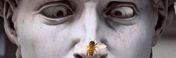 grattastinchy's profile banner image