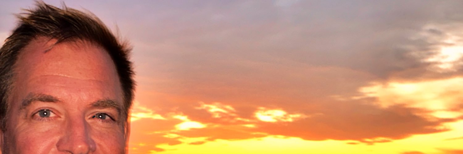 Michael Weatherly's banner