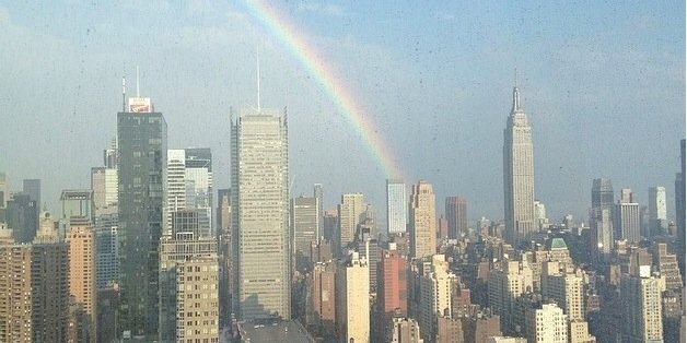 Alison Morris banner