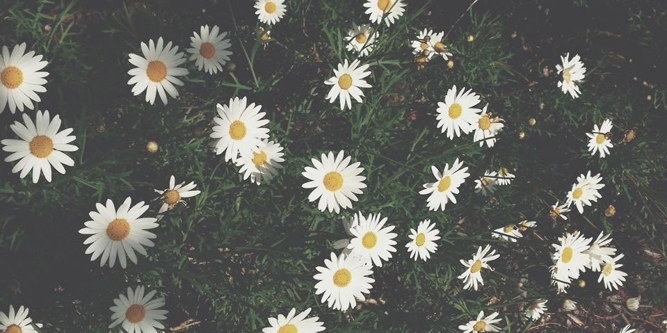 Delaneyvmh's profile banner image