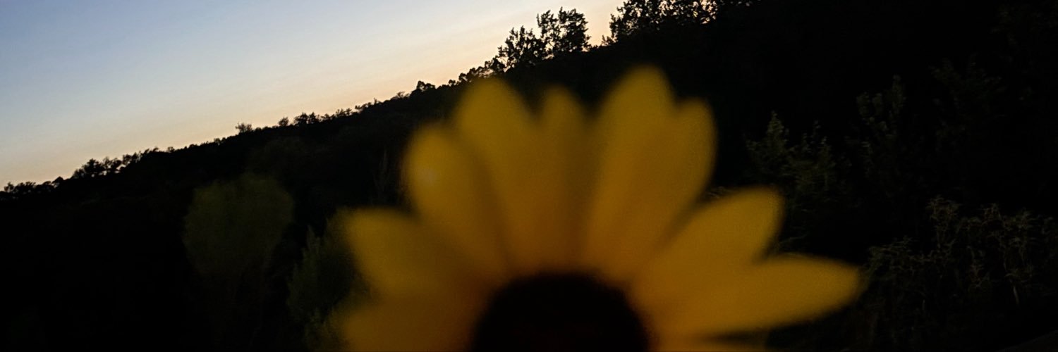kirensami's profile banner image