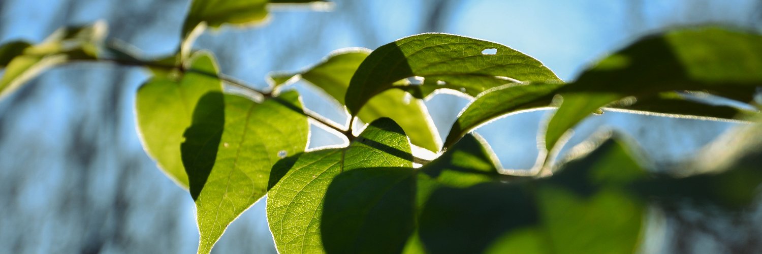 mmpayne96's profile banner image