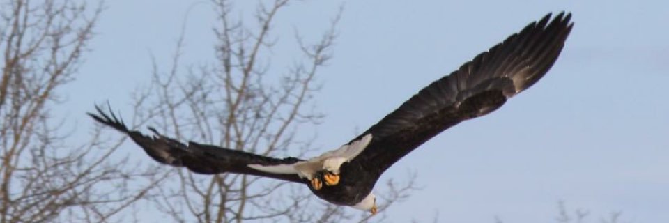 cj30loewen's profile banner image