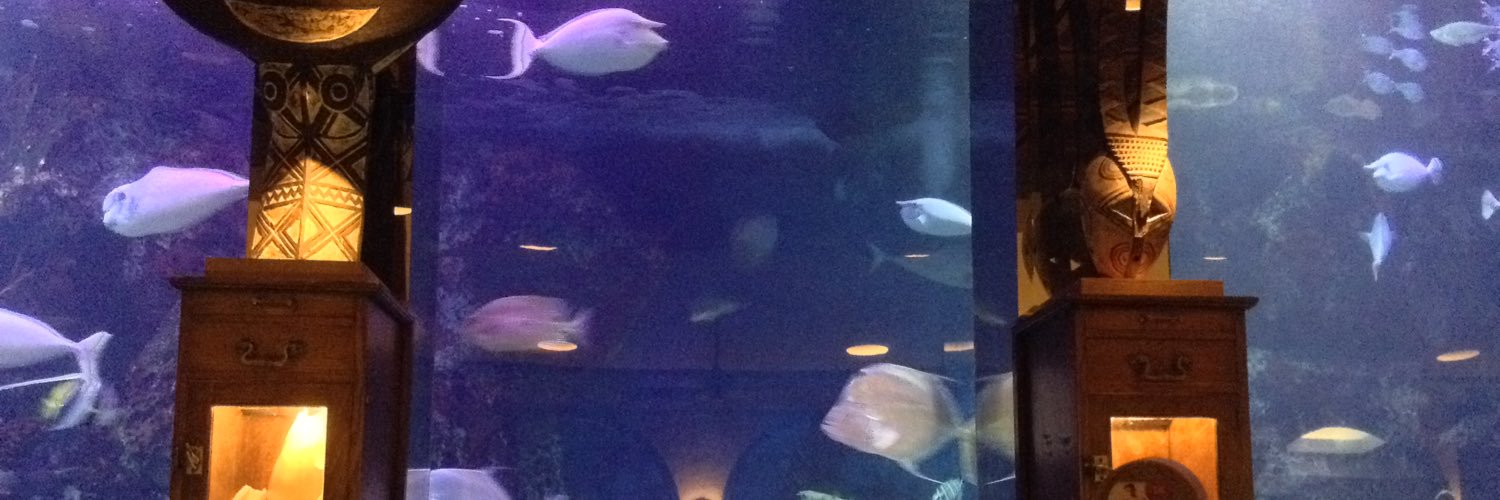 Sanchez A Prision ya !! gobierno de corruptos ⛓ banner