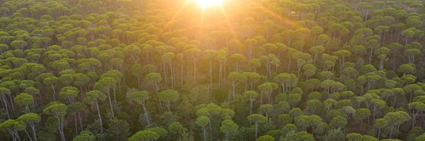 rami_rizk Profile Banner