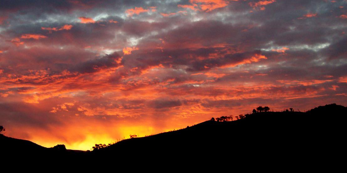 LSullivan63's profile banner image