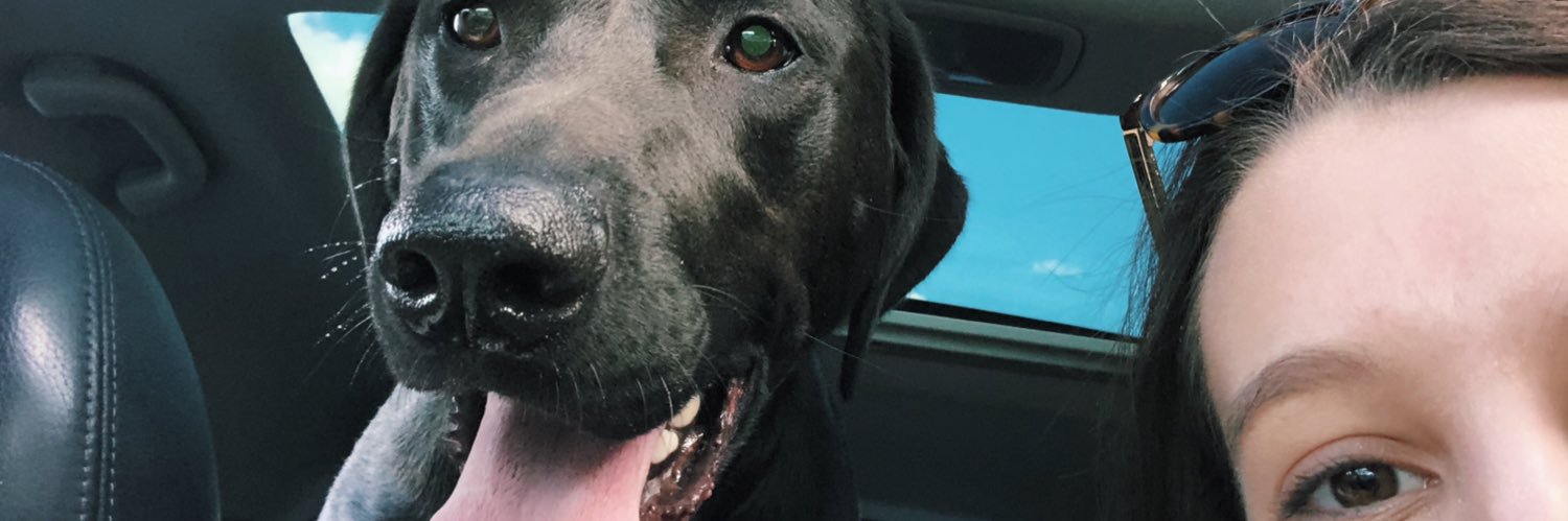 sutton_haleyy's profile banner image