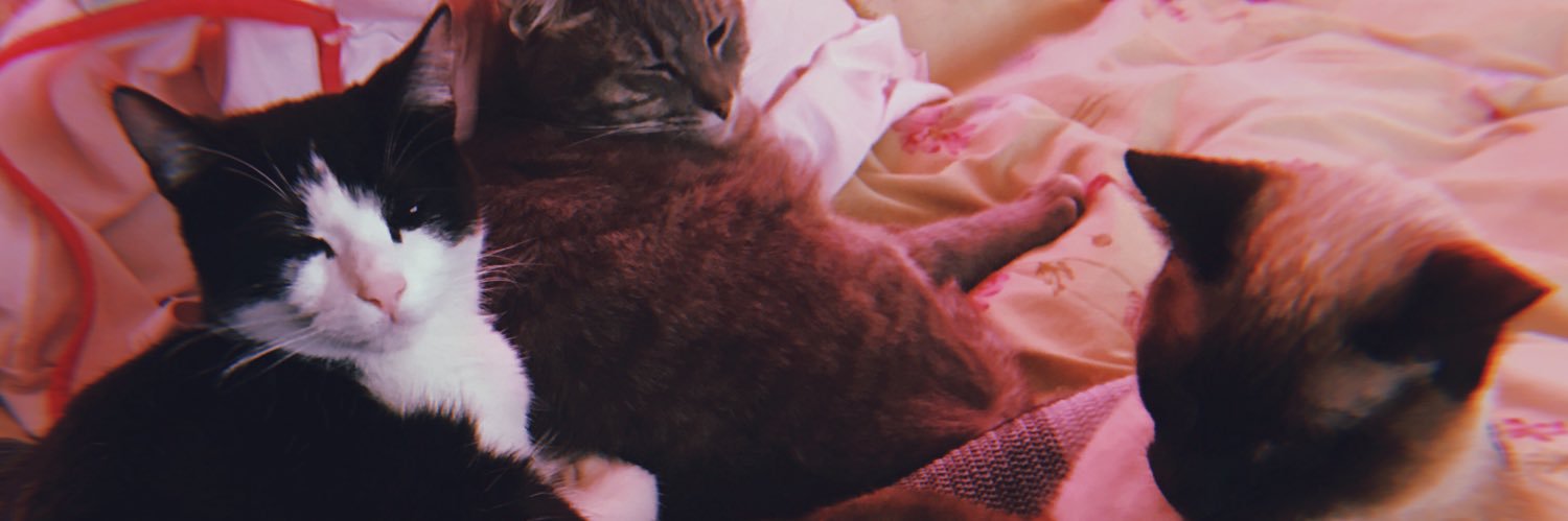 TatiCoton's profile banner image