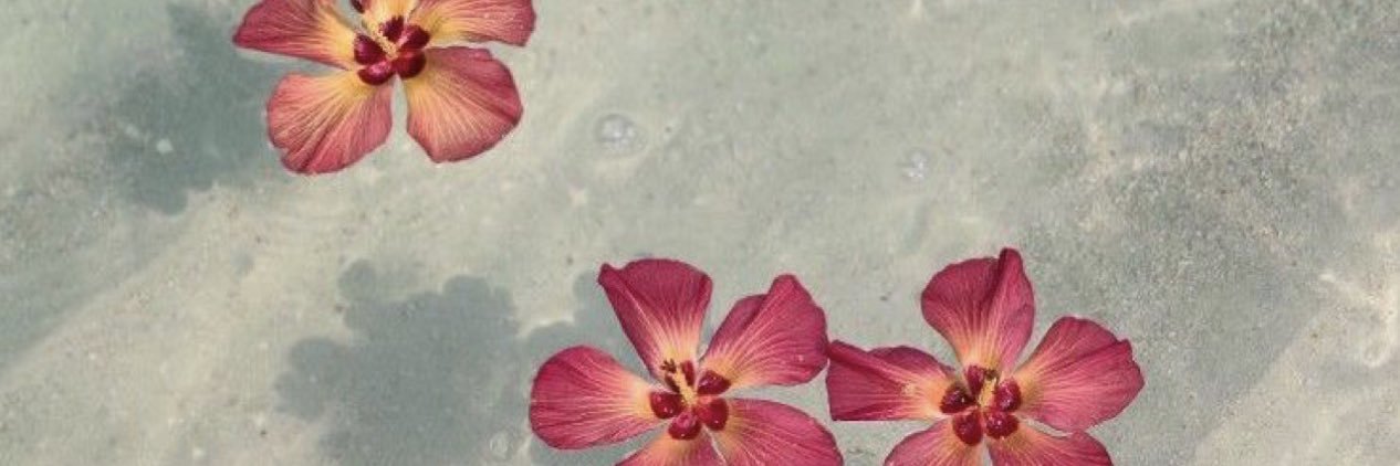 kosarakaye's profile banner image