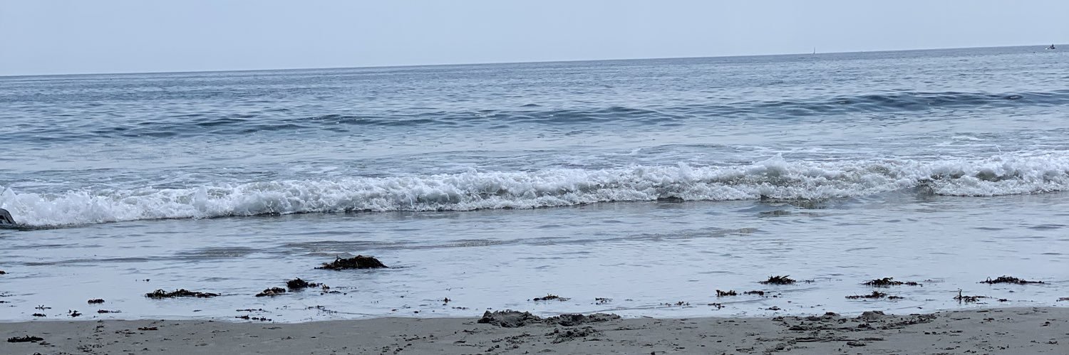 stephpeets's profile banner image