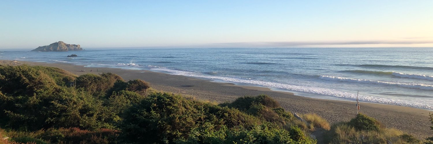 Erin Satterthwaite banner