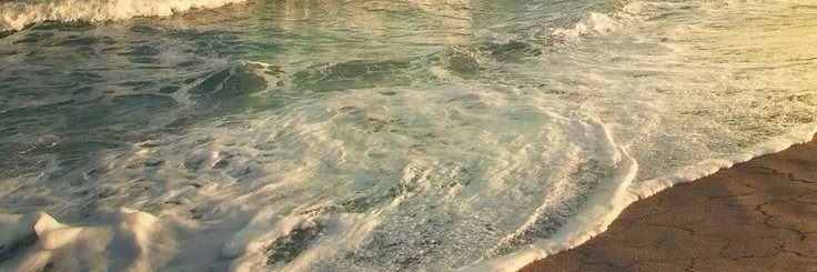 franktripp_'s profile banner image