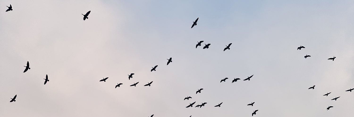 EMichael_'s profile banner image