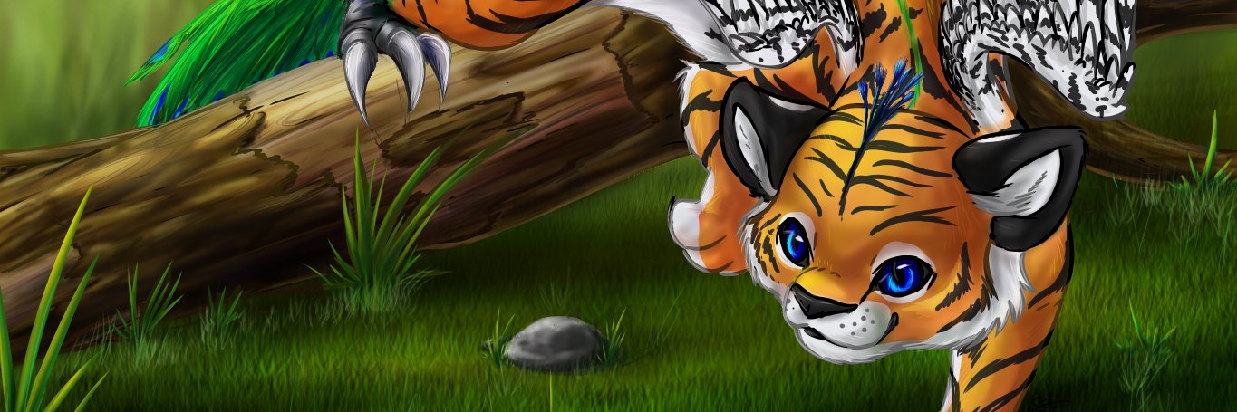 HBKit14's profile banner image