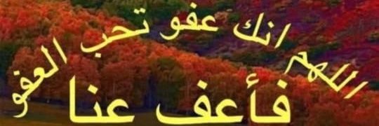 balubaid1's profile banner image