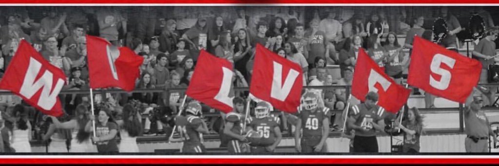 Davis Wolves banner